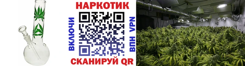 Какие есть наркотики Тайга OMG как войти  Гашиш  Бошки Шишки  Лсд 25 
