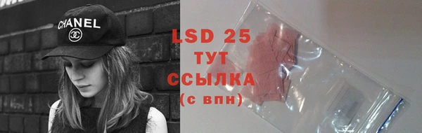spice Пересвет