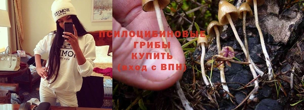 трава Покровск