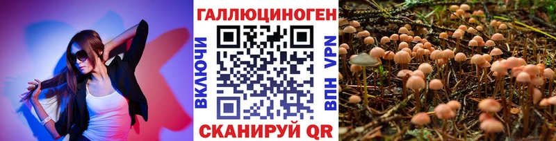 как найти закладки  Тайга  Галлюциногенные грибы MAGIC MUSHROOMS 